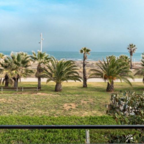 Vista cercana de la playa con palmeras desde un balcón del alojamiento