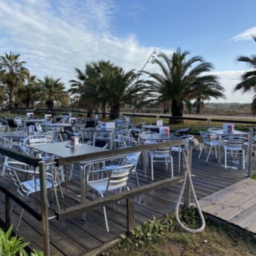 IMG 0468 (1) [800x600]