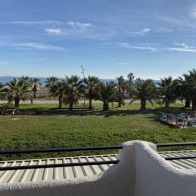 img 0283 800x600