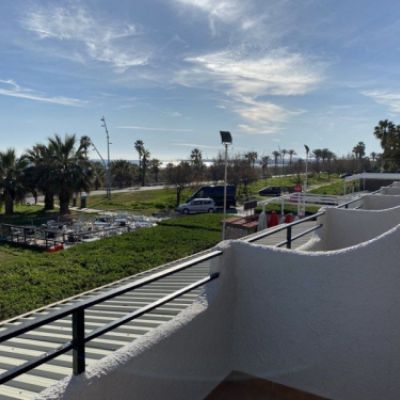Vista a la playa y paseo marítimo con palmeras desde una terraza del alojamiento