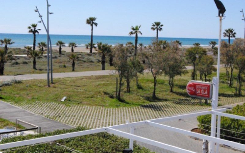 Vista de la playa y palmeras desde una de las habitaciones