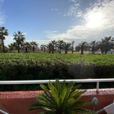 Vista de setos y palmeras con el mar al fondo desde la terraza