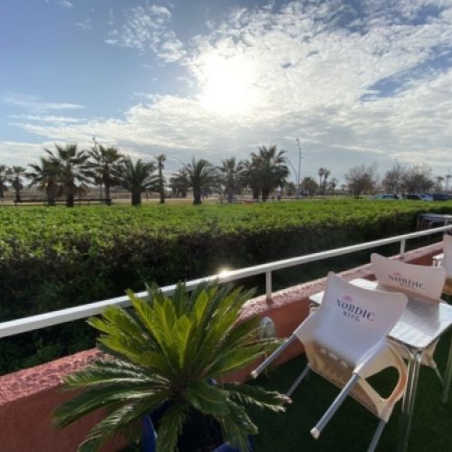 img 0491 800x600